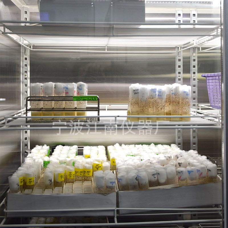 寧波江南儀器廠(chǎng)_人工氣候培養(yǎng)箱,光照培養(yǎng)箱,植物生長(zhǎng)培養(yǎng)類(lèi)箱體 寧波江南儀器廠(chǎng)_人工氣候培養(yǎng)箱,光照培養(yǎng)箱,植物生長(zhǎng)培養(yǎng)類(lèi)箱體